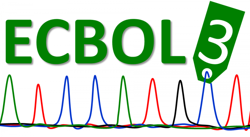logo ECBOL3